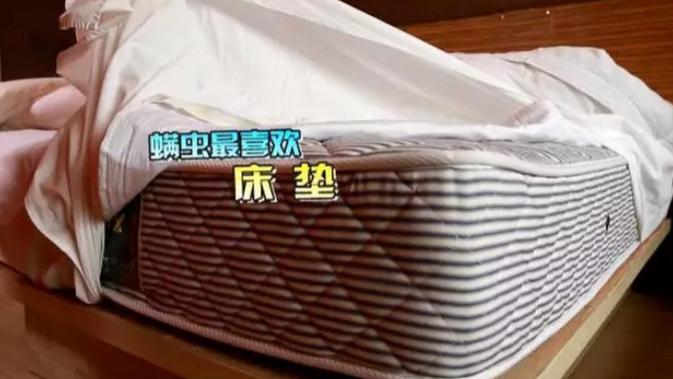 家中有必要买智能除螨仪吗？十大公认好用的除螨仪推荐！