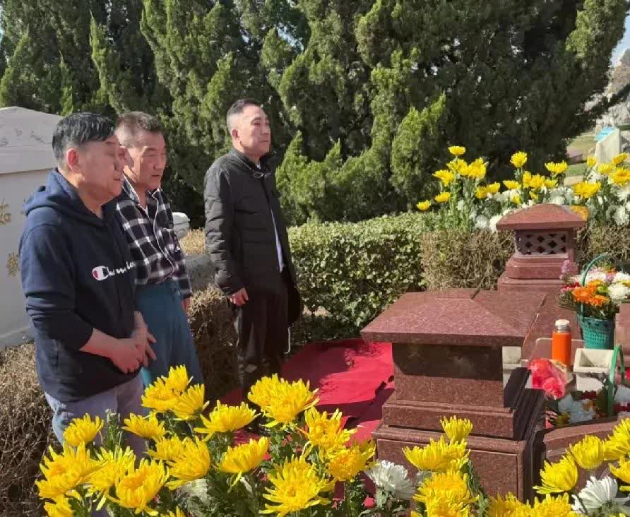 杨议三兄弟为母亲扫墓，未见杨威！
21日，正值春桃花开，鹅黄嫩绿之际，杨议，杨