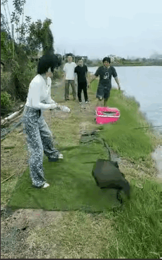 链钓机缘：当鲤鱼化作本使时