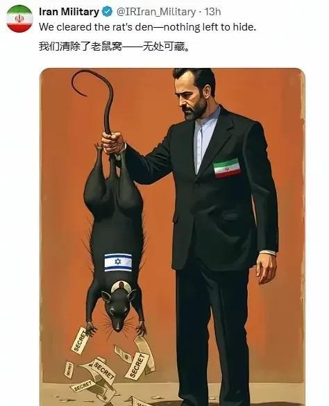 我们清除了老鼠窝——无处可藏！
这是伊朗国防部发表的一张讽刺图。
从身上的国旗能