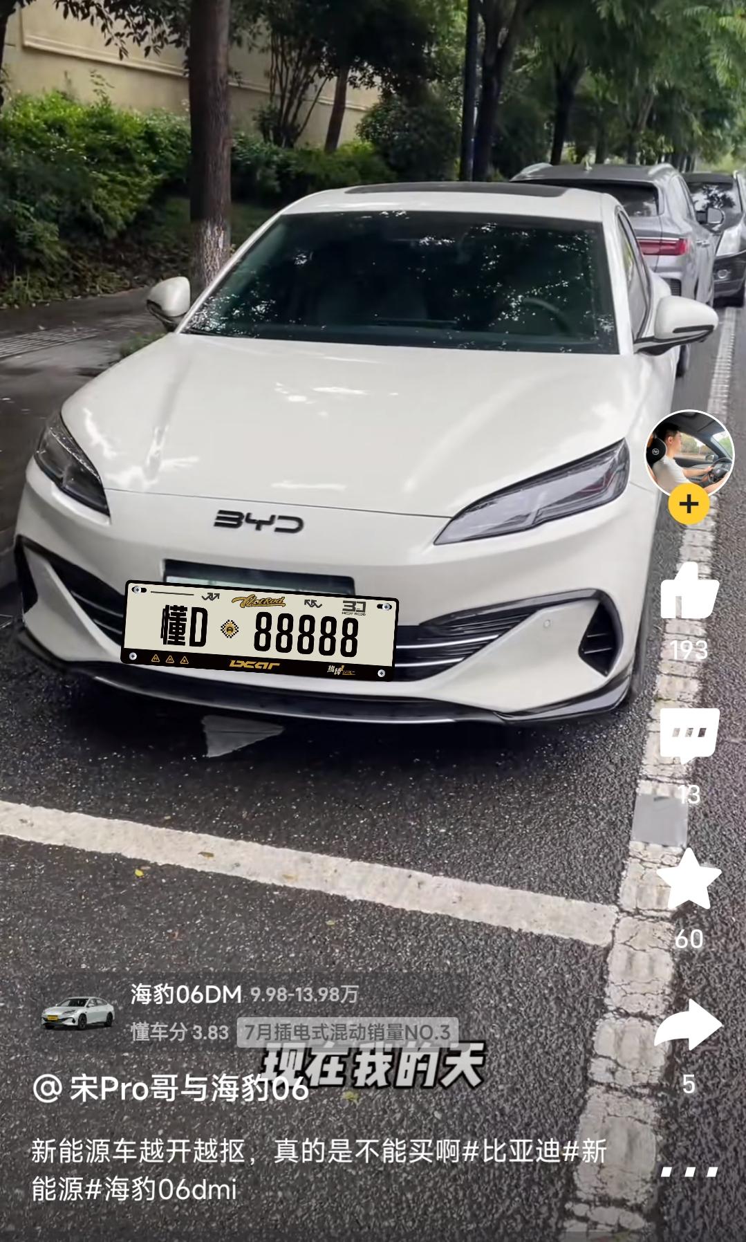 海豹06鼻子上这条黑线有点丑