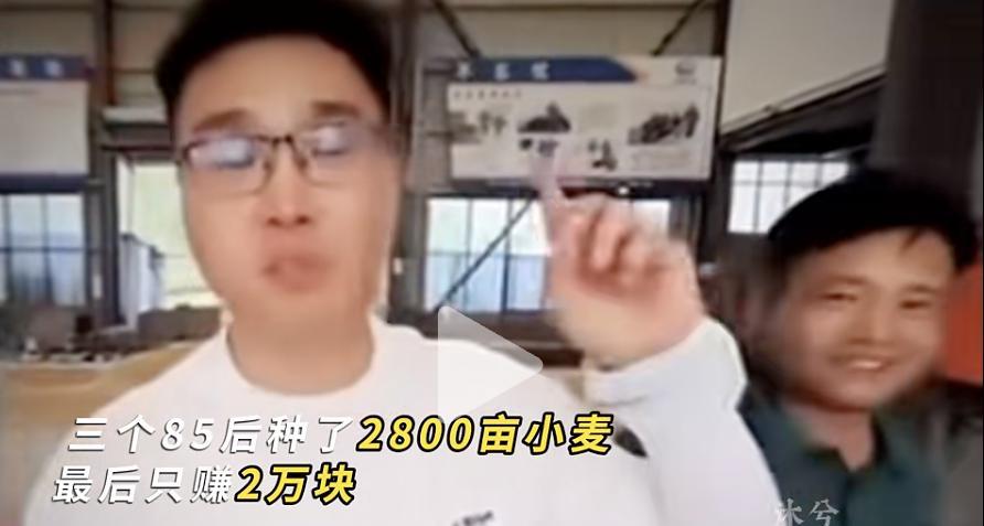 现在种地真是不能干！2800亩小麦，才赚2万元
有三个八五后，投资三百多万去种地