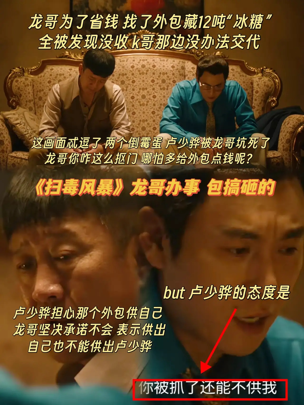 《扫毒风暴》龙哥办事 包搞砸的