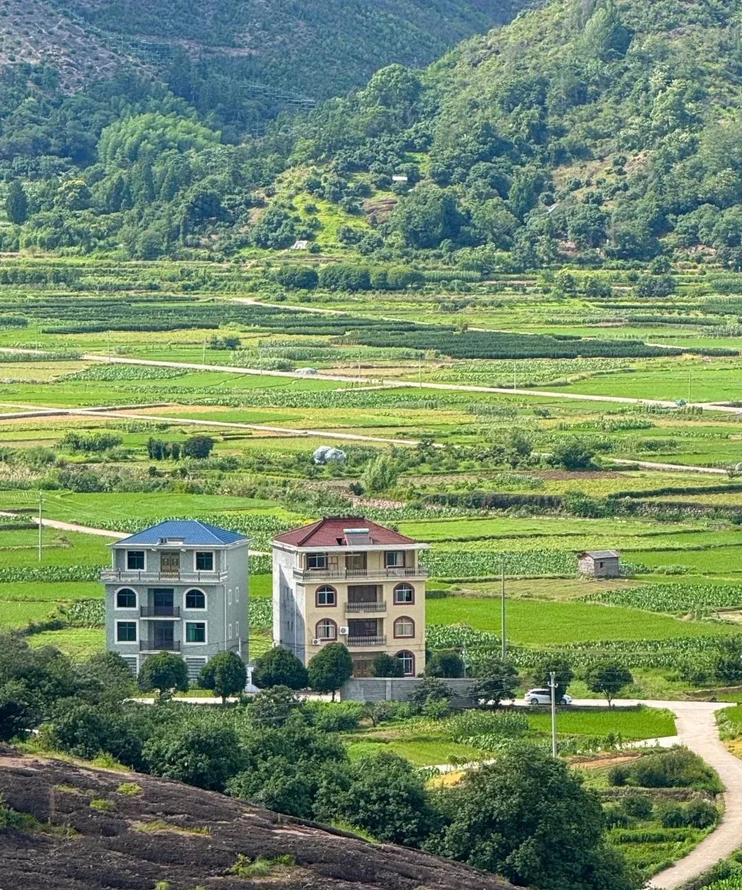 两家关系不好吗？
一个朝左一个朝右[笑哭]