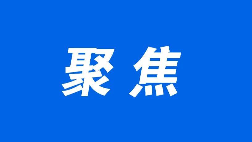 精雕细琢“绿色气质”——云龙区守护一城生态底色，绘就绿色发展新图景