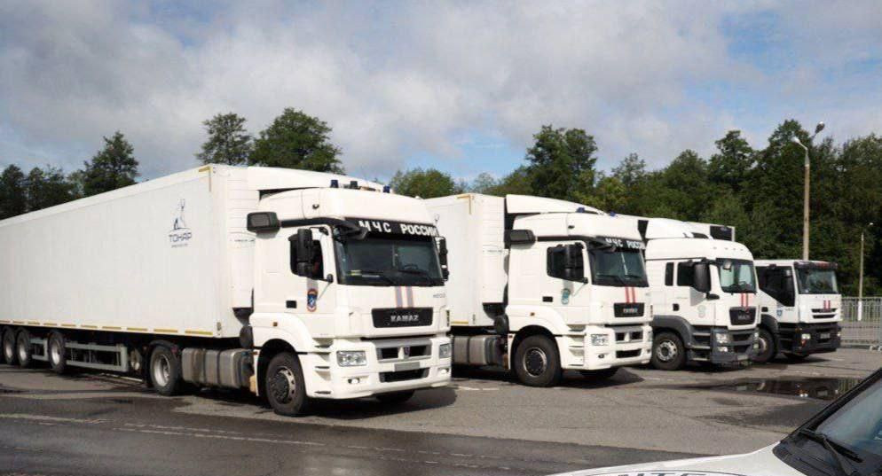 俄乌交换遗体：数量悬殊，令人唏嘘











天呐！这数字也太吓人了吧