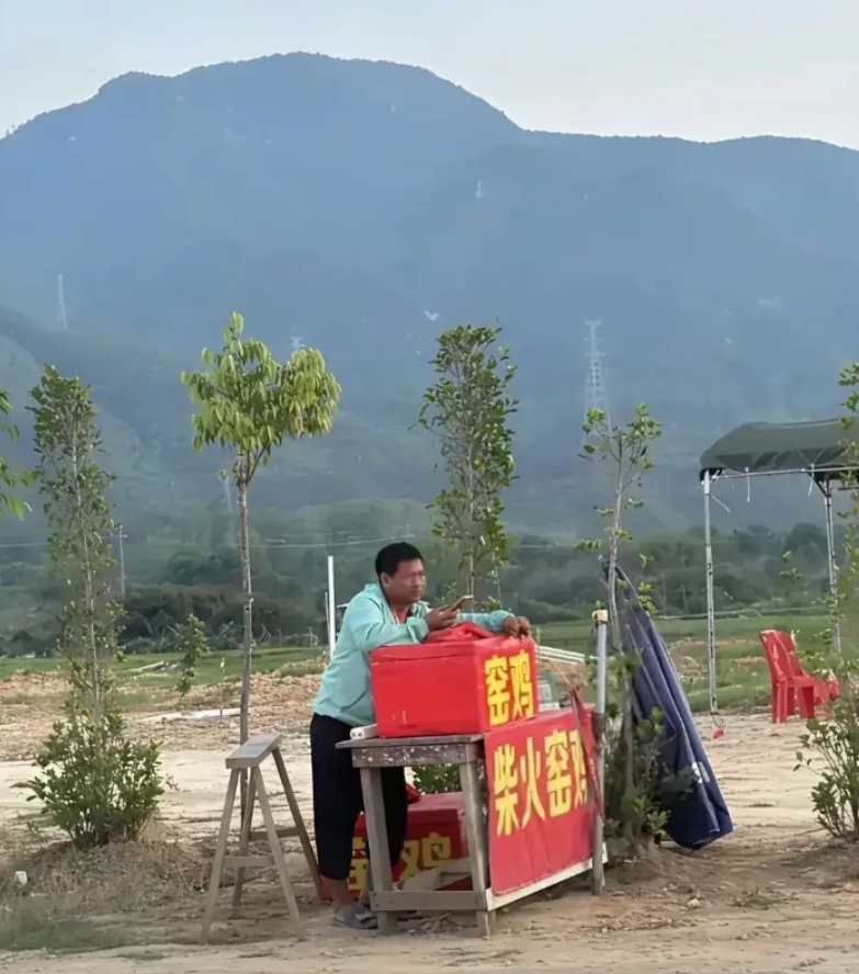 路边的窑鸡不要买， 不听劝可以试试