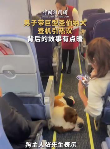 2025年，一架哈尔滨飞往北京的客机上“吵翻了！”一架哈尔滨飞往北京的客机上，竟
