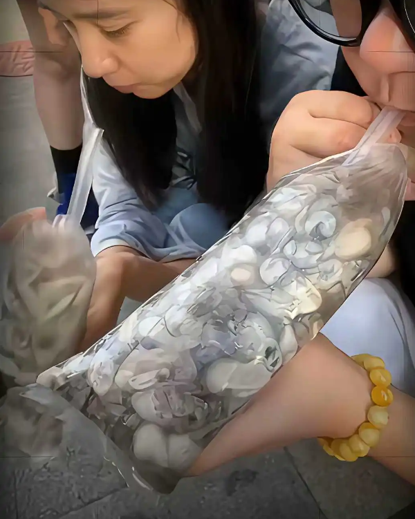 这玩意煮熟都很腥，生吃的都是神人