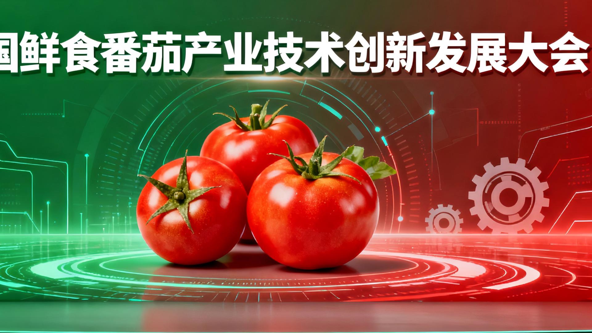 全国首届鲜食番茄产业大会来袭！全产业链资源整合，助力产业高质量发展