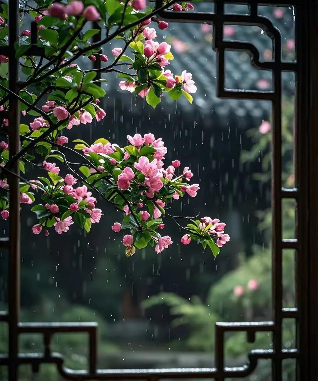 细雨潇潇打海棠，
芳菲飞落水中央。
西楼人醒帘微卷，
伊倚阑干望远方。
——作者