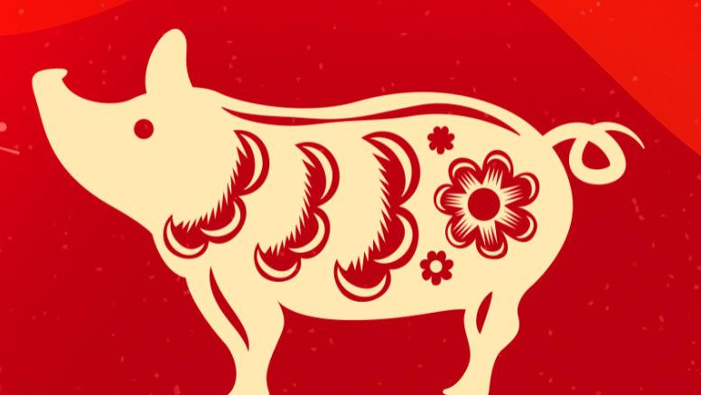 2026丙午马年总运程-生肖猪