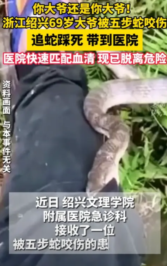 “太狠了！”2025年6月，浙江绍兴，一名69岁的大爷被五步蛇咬伤，然而，下一秒