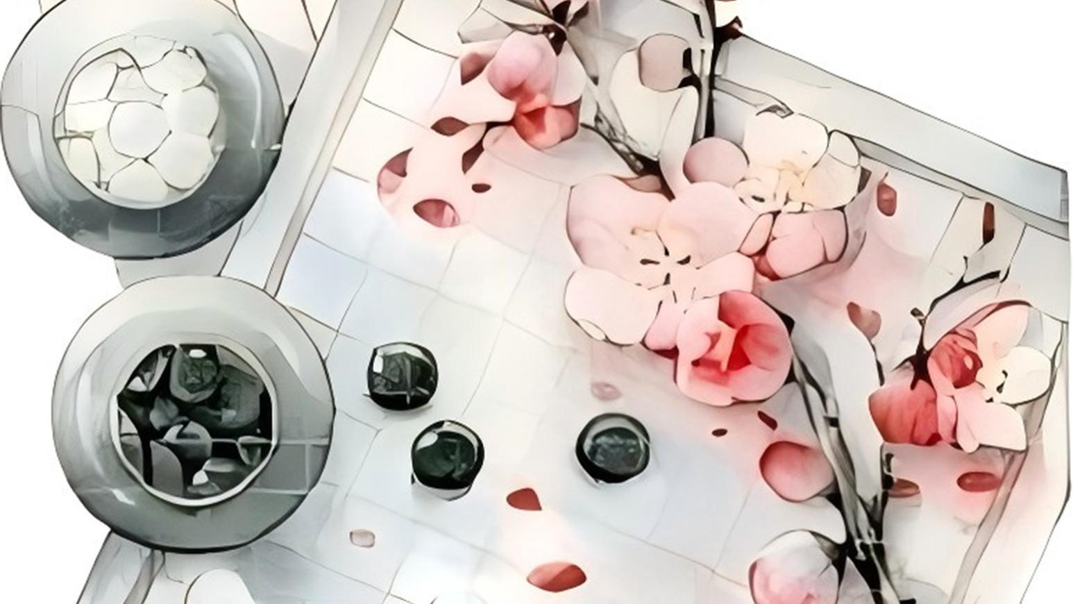 【围棋诗词】五律 适友人围棋