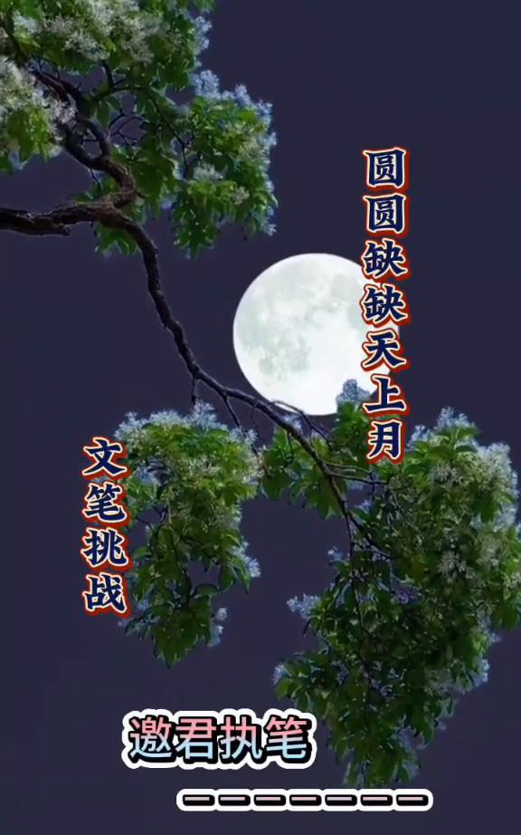 圆圆缺缺天上月文笔挑战。
邀君执笔。
庐州月。
