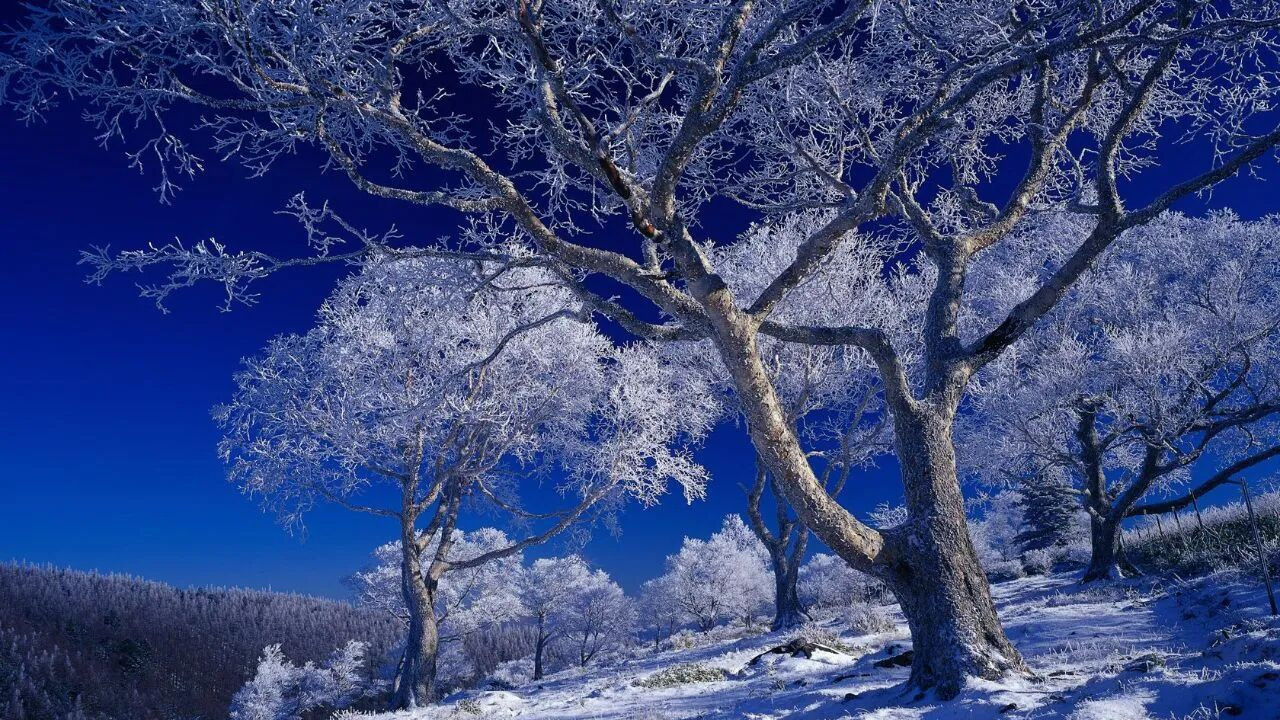 后半生，最聪明的活法：不争、不求、不气、不急，事缓则圆，人缓则安。