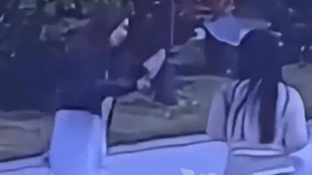 互殴？女子遛狗不牵绳引发狗斗，竟辱骂殴打牵绳一方
