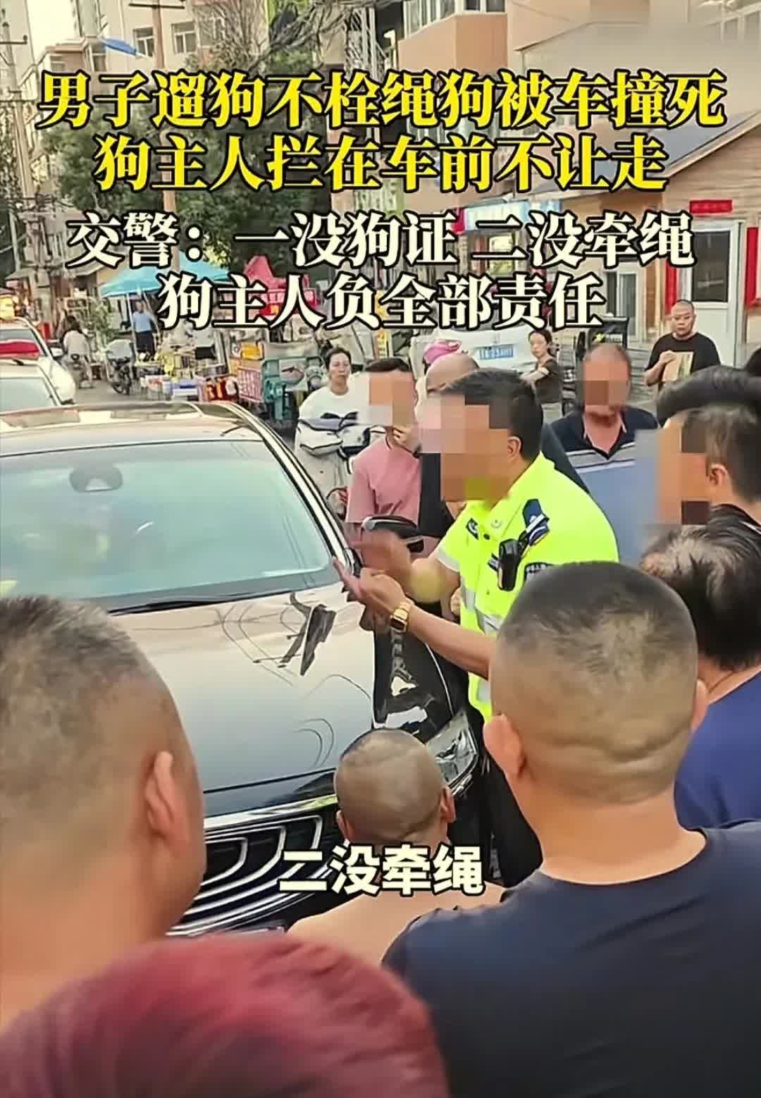 遛狗不牵绳被车撞，交警：狗主人全责
7月21日，河北一男子遛狗过马路时，过来一