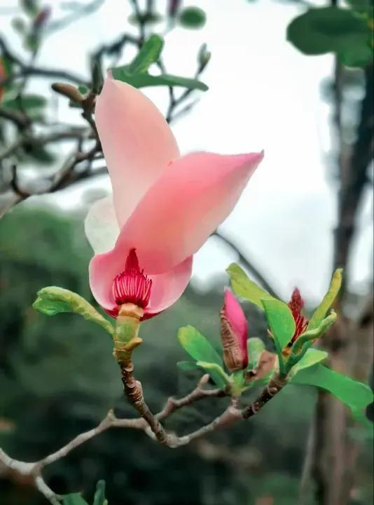 一个人怎么
能越来越好
越来越幸福
就一个答案:
积德行善
只要人存善心
人有正