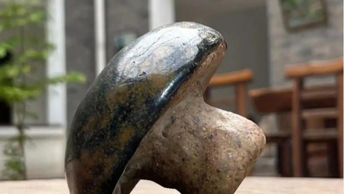 佛眼归处，天下大同：一枚眼球的流浪史，为何让全网泪目？