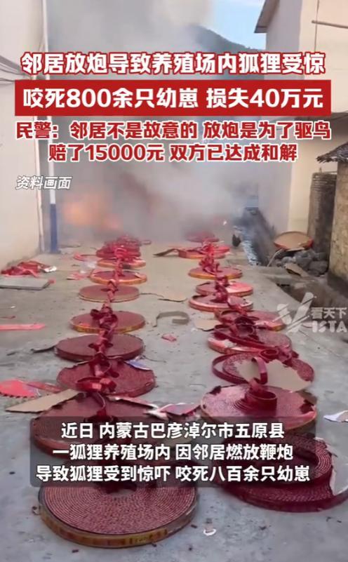 “这下长记性了！”2025年6月，内蒙古，一男子养殖场狐狸突然受惊，直接咬死80