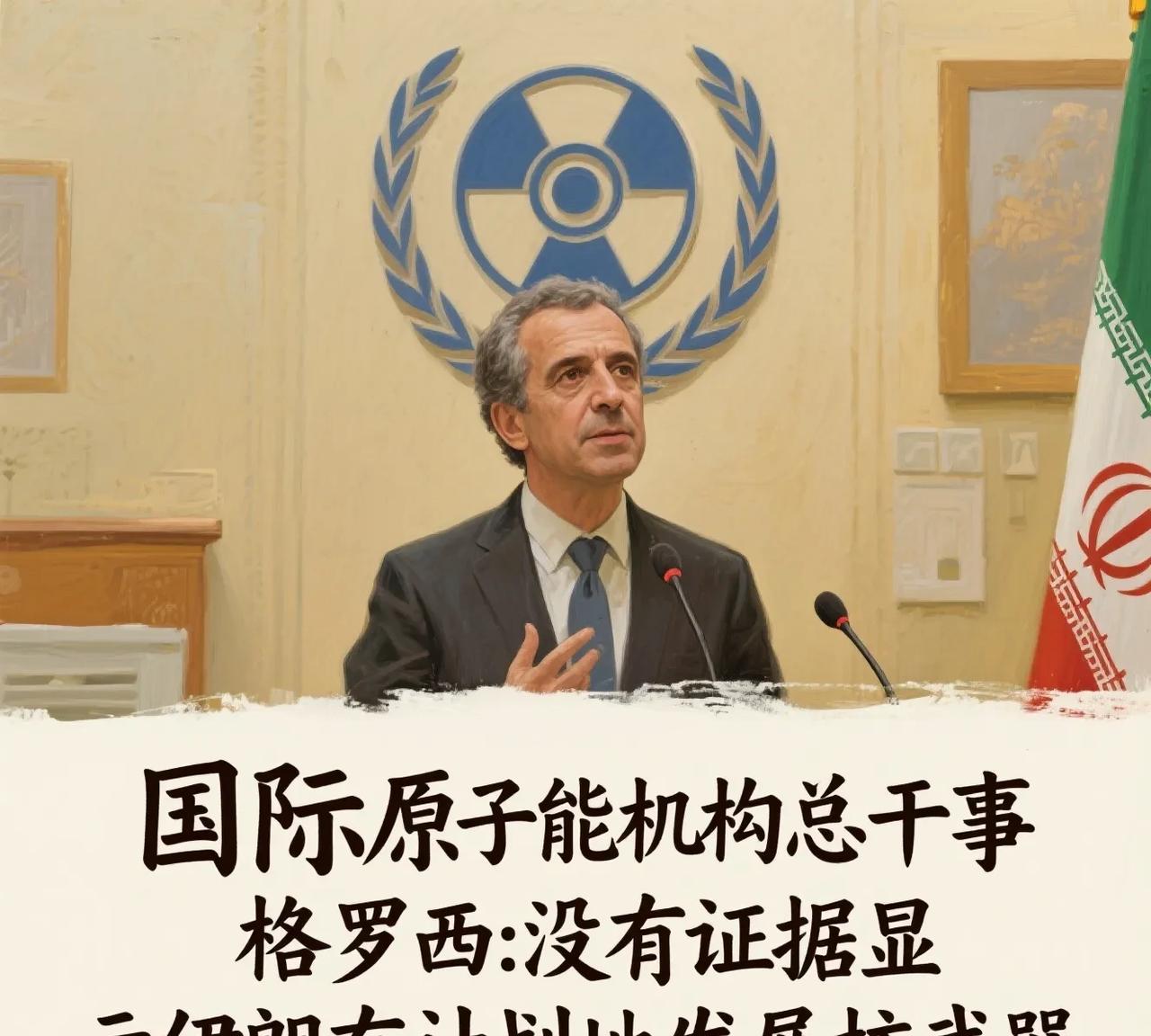 迟来的正义，伊朗真是太冤了，比窦娥还冤！
17日，国际原子能机构总干事格罗西终于