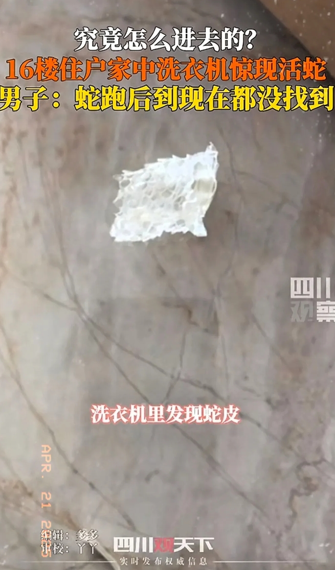 “太可怕了！”山西运城，一男子母亲用洗衣机洗被子，洗完后竟发现一条活蛇躺在被子中