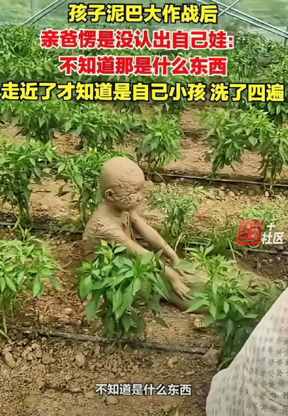 安徽阜阳一个年轻的父亲，看到一个泥糊糊的生物很是惊讶，不知道是什么东西。走近一看