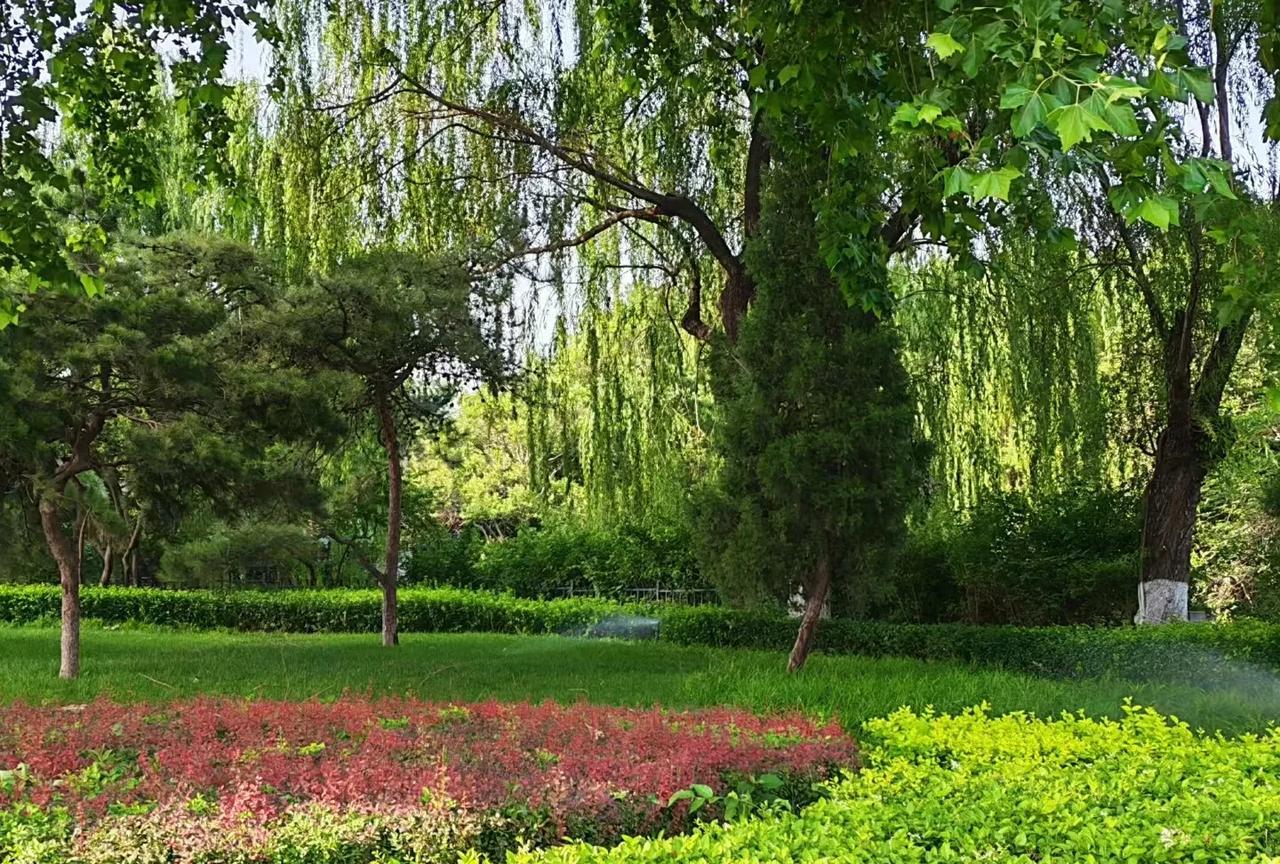 #上联：花开富贵千家喜，请出下联？#
上联：花开富贵千家喜
下联：春满乾坤万象新