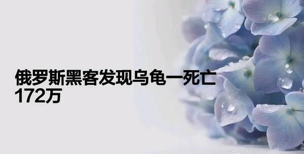 乌军死亡人数太多了，
刚刚看到。
在 8 月 19 日，
乌克兰与俄罗斯交换战俘