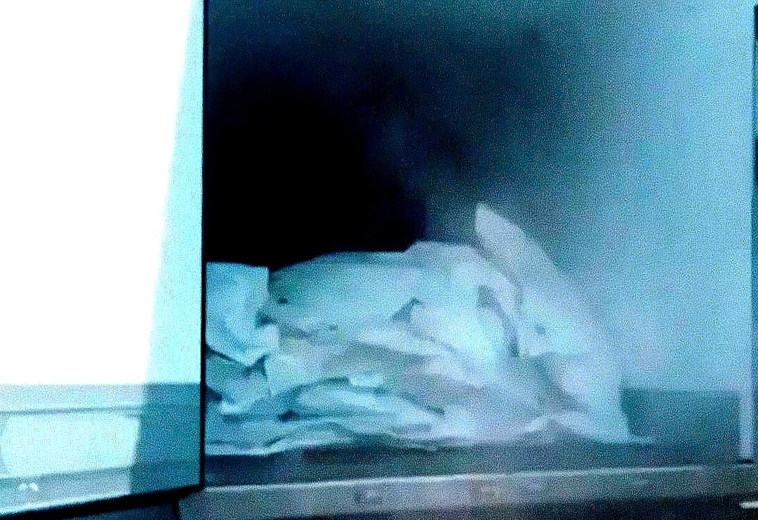 总统谈停火，士兵尸骨未寒











---











这