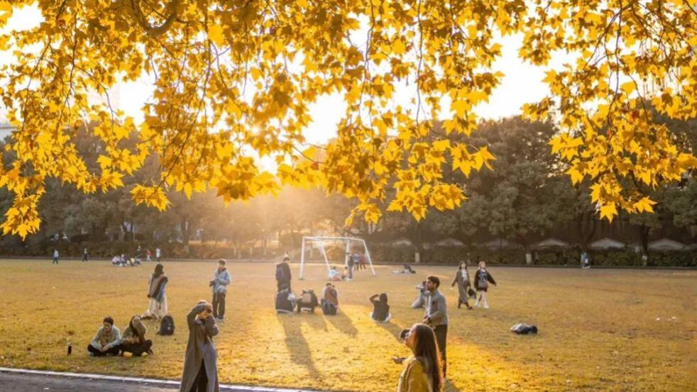 长沙人自己的“梧桐大道”！小众景美好出片！！