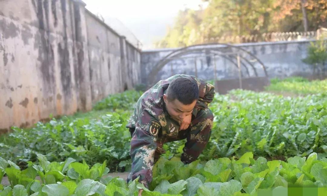 临近八一建军节，
好多地方的退役军人，不同程度的收到慰问金或慰问品之类的。
慰问