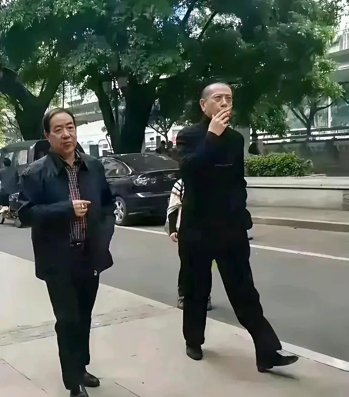 陈丹青长着一副被人欺负的脸，回来了。