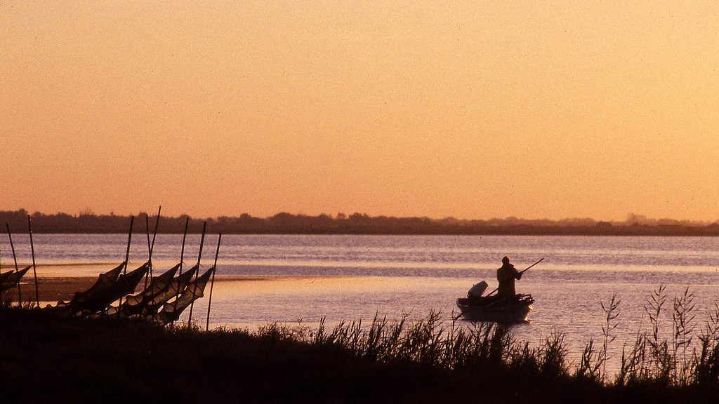 股市的羊群效应