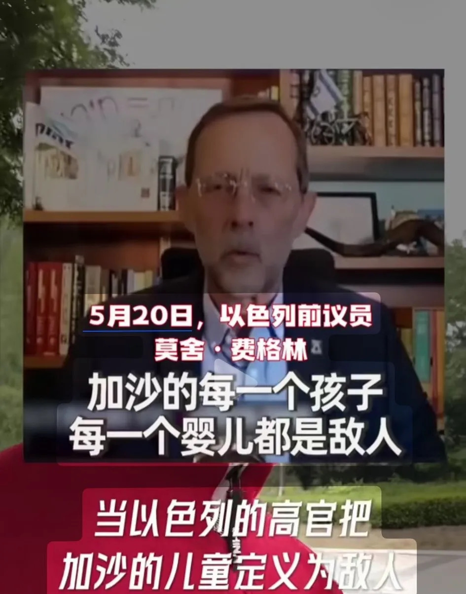 加沙孩子全是敌人 以色列前议员语出惊人











我去！这世界还有这