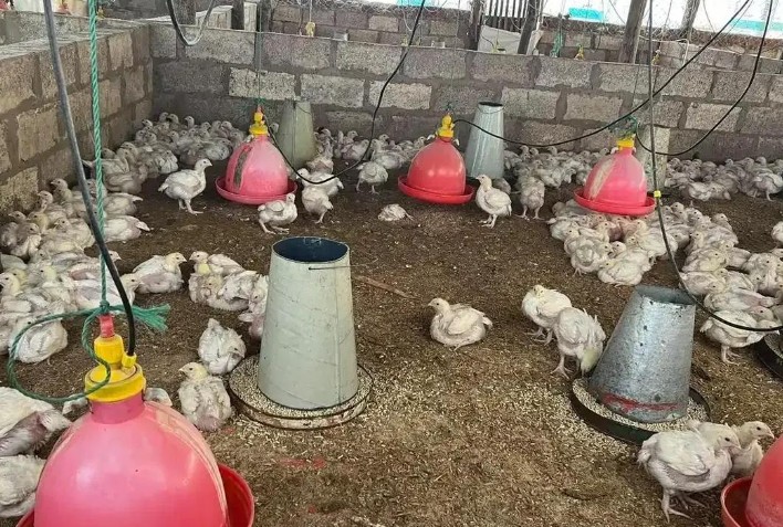 57岁中国女农场主在赞比亚遇难：她对当地黑人特别好。
 
儒家思想以及传统的以德