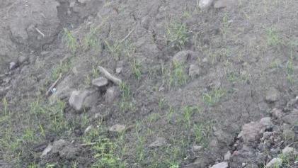 绍兴柯桥区吉泰沙石场投入260万租厂创业，租期未过半遭出租方单方解约引争议