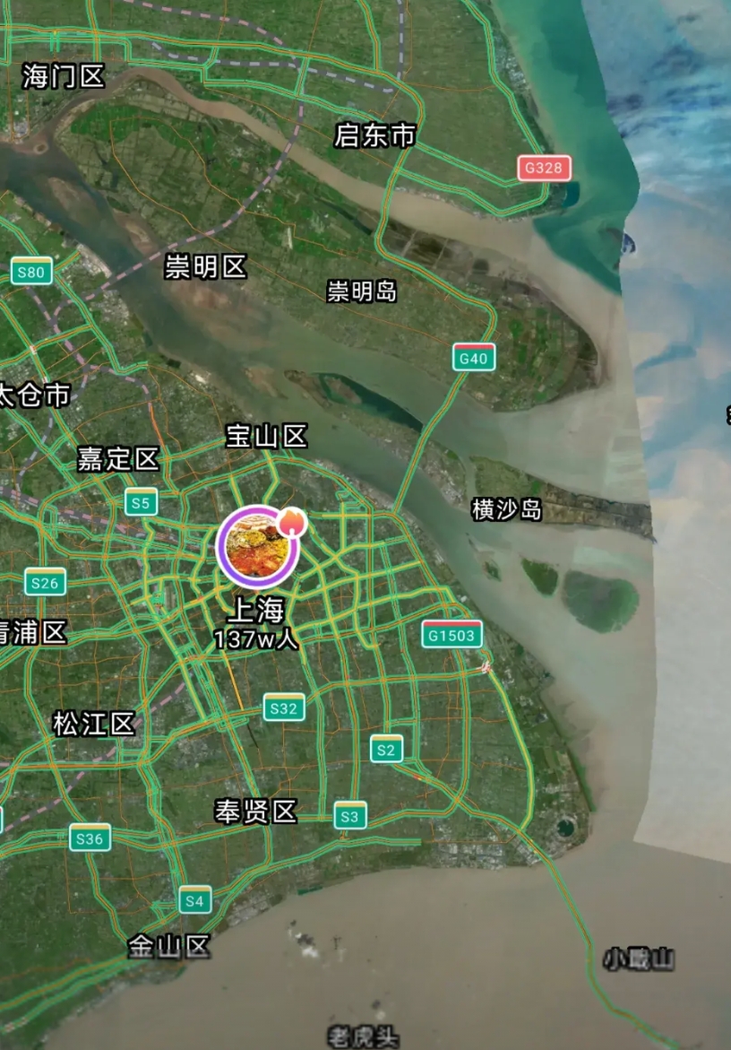 上海，真是一个奇怪的地方！
北面，那么大的一条长江，不往它边上靠。
南面，那么宽