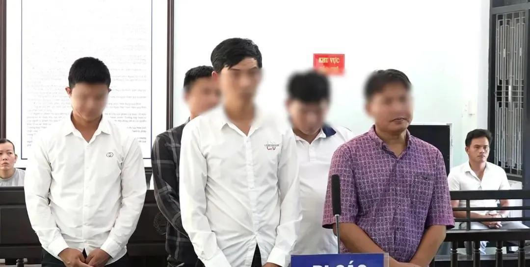 据越媒报道了一个案子，6月24号，越南顺化市法院开审了一起组织非法出境的事儿，5