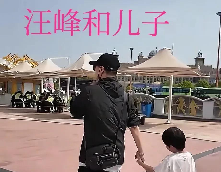 大家总说汪峰三个女儿三个妈，
却忽略了汪峰有俩孩子一个妈。
汪峰和章子怡的儿子一