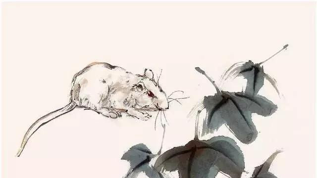 生肖鼠，乙巳年小寒：1月6日-1月21日小有不适，运势大好！