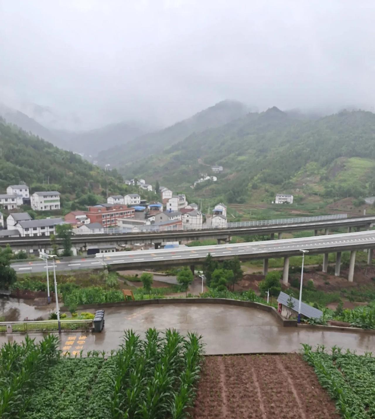 现在国内老百姓都不是傻子，
你一个国内不参加中考、高考，
拼爹去国外上高中，
学