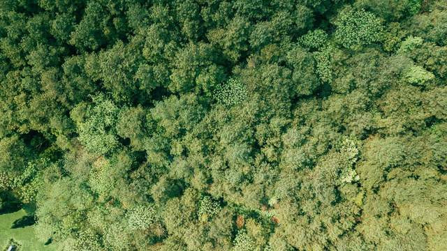 玻璃纸袋：电子产品售卖包装的高透防护优选