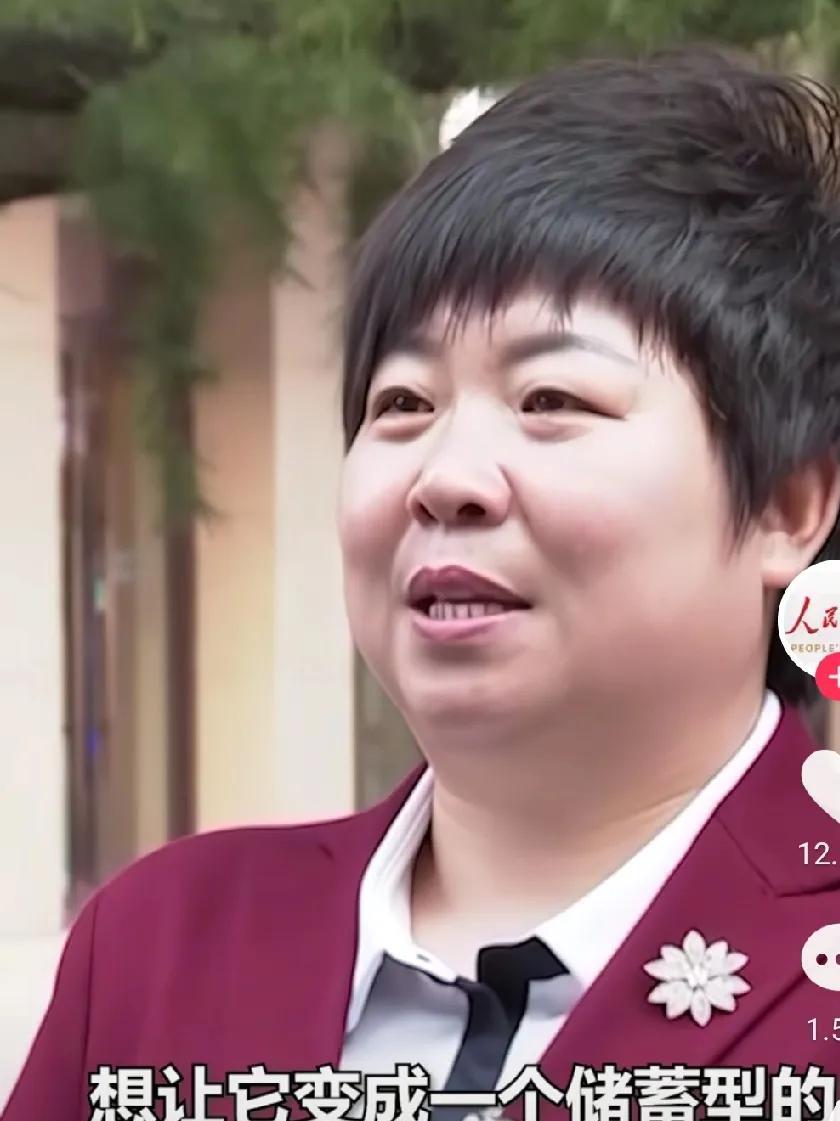 这个代表火了，提议把农村医保从消费型改成储蓄型？
两会代表马金莲说，我来的时候，