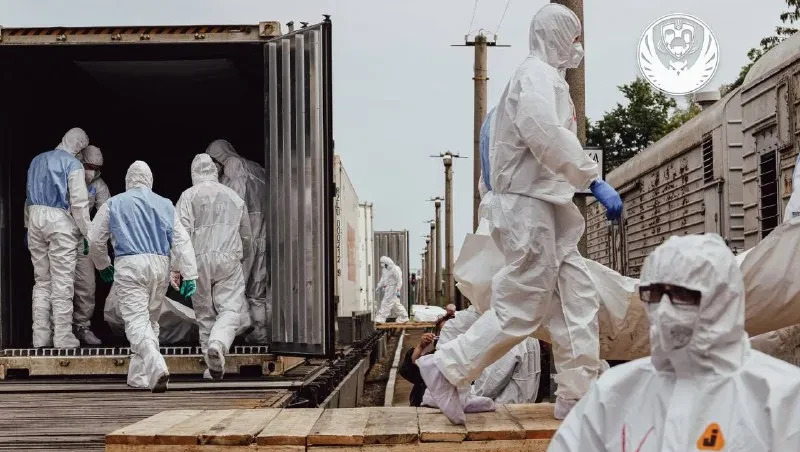 一千二百具遗体回家











噩耗传来，整个乌克兰被一种巨大的悲痛笼