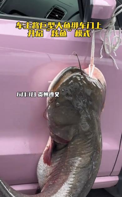 “这就是命啊！”



6月3日，贵州遵义，一位老乡在自家池塘垂钓，本想轻松惬意