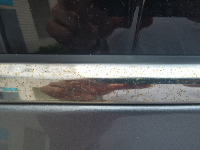 车友们有碰到这事
宋PLUS DMI，今天发现几个车窗的白色条条生锈了？