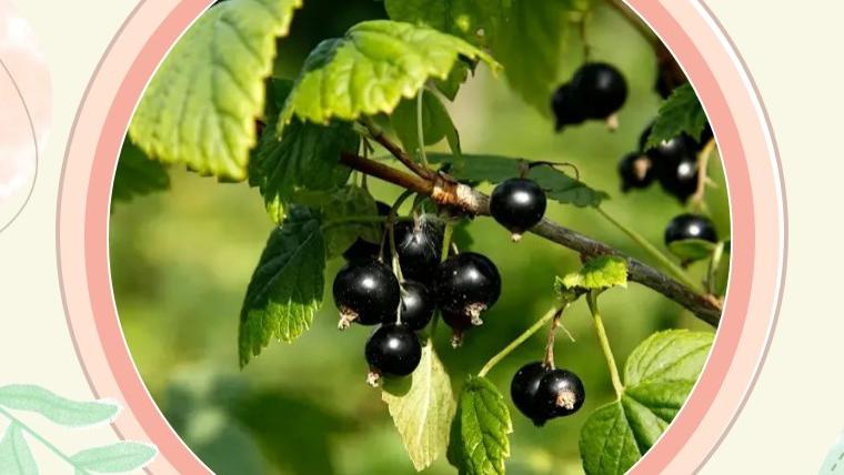 别再让宝宝换“季”难！