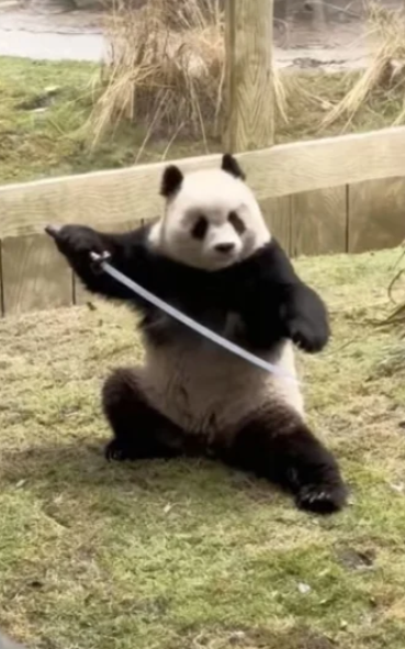 笑死，是有点杀气的